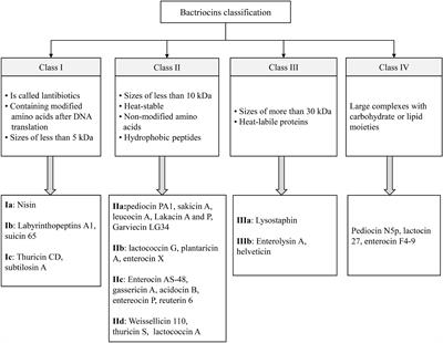 Antibacterial Activity of Pediocin and Pediocin-Producing Bacteria Against Listeria monocytogenes in Meat Products